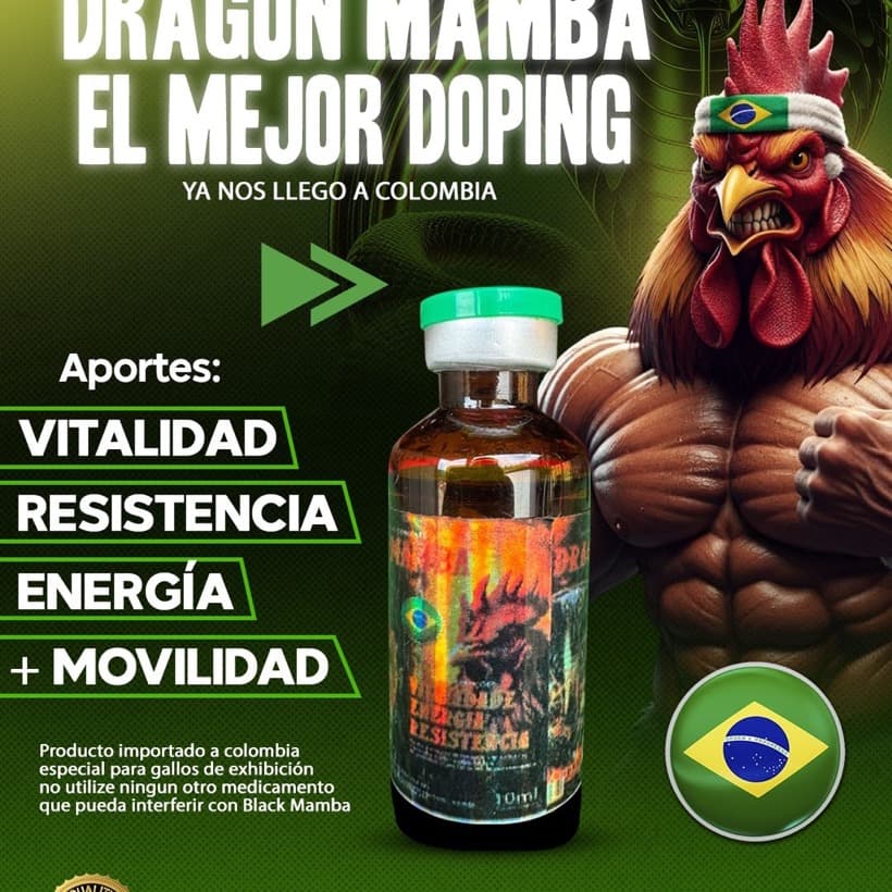 Dragon Mamba